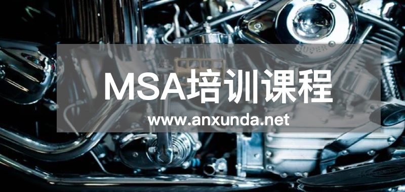 MSA培訓(xùn)